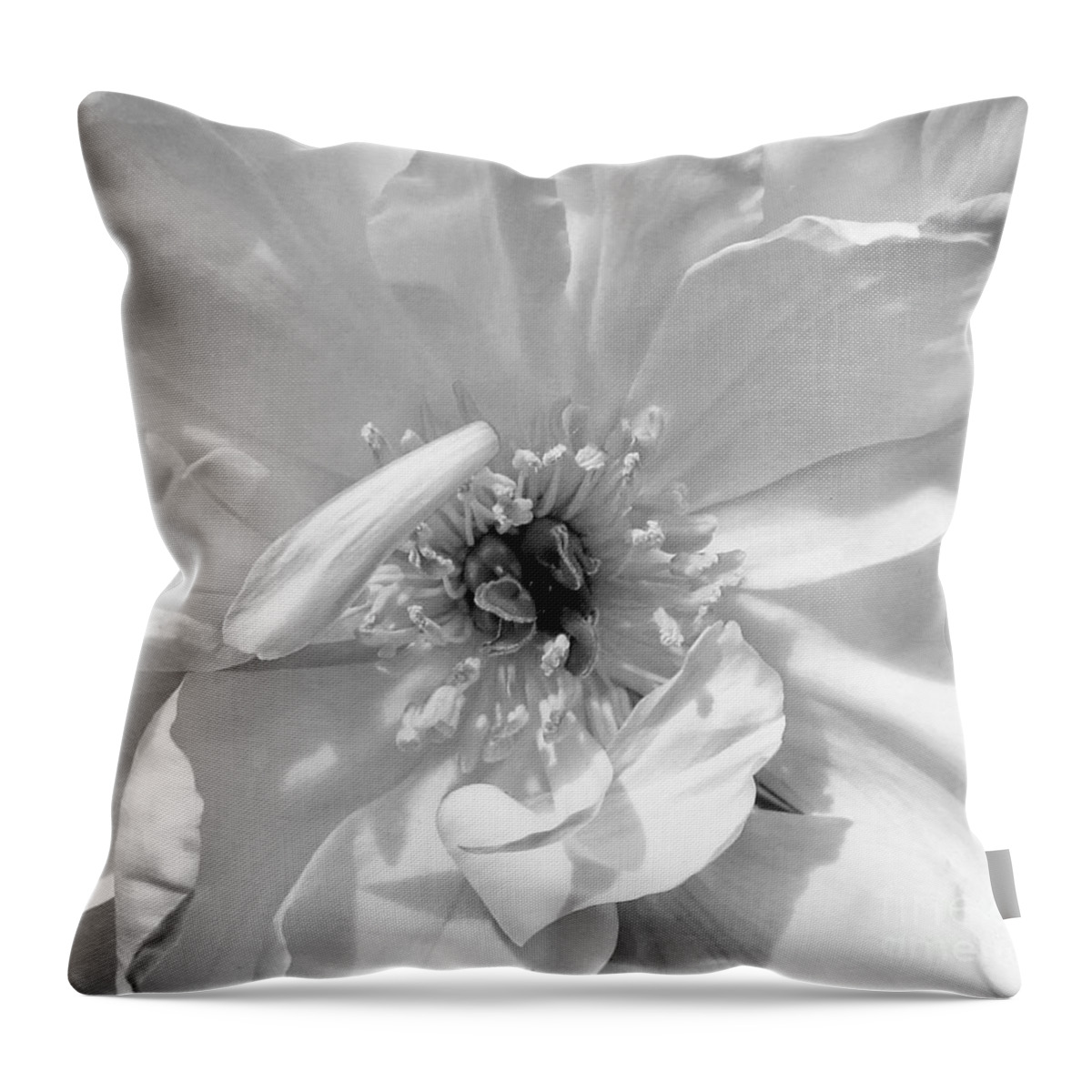 White Throw Pillow featuring the photograph White Wedding by Lilliana Mendez