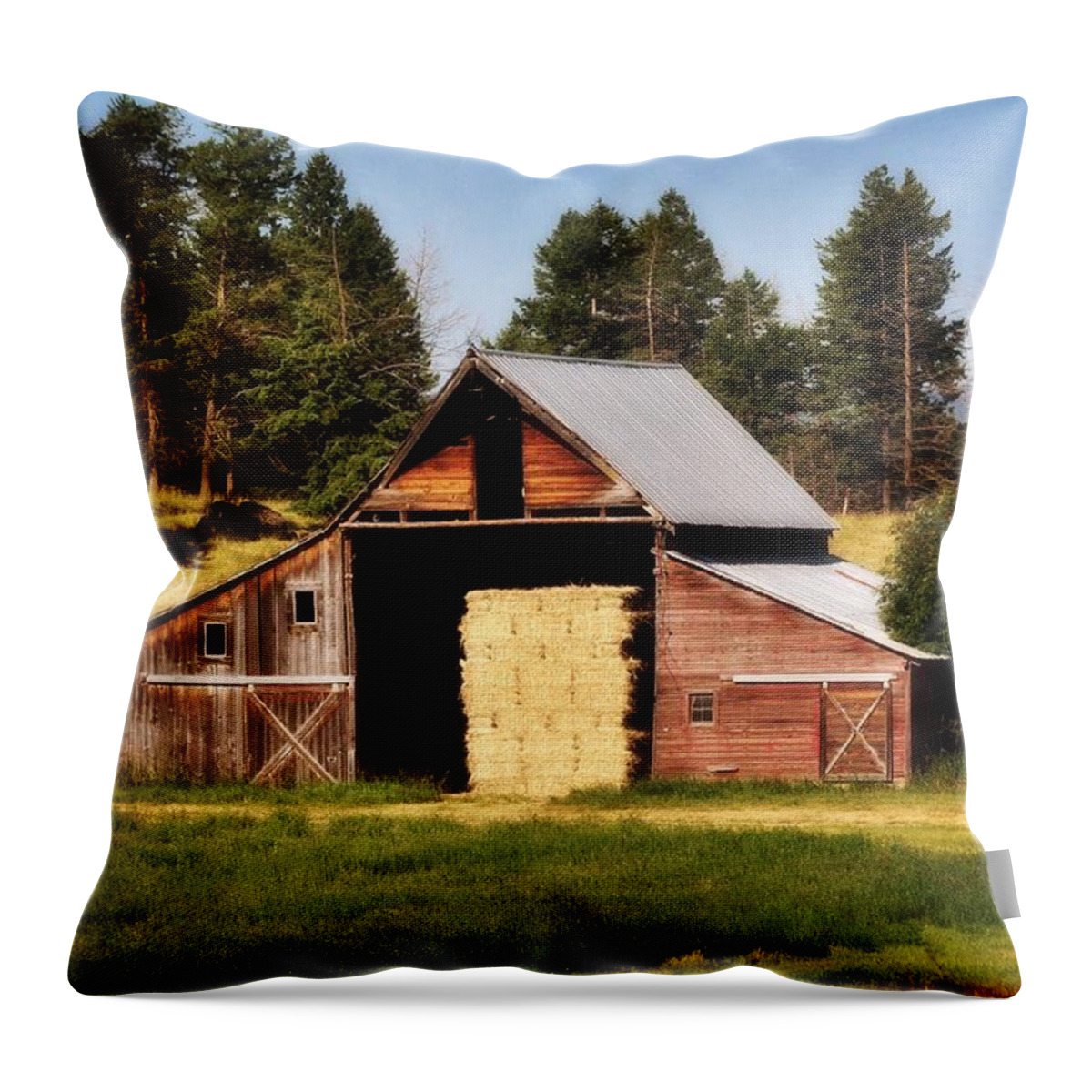 Barn Throw Pillow featuring the photograph Whitefish Barn by Marty Koch