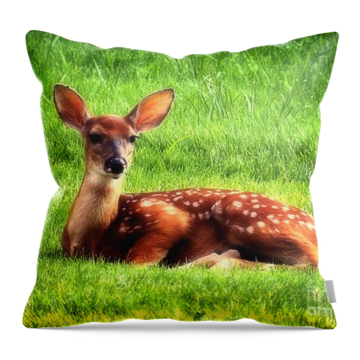 Whitetail Throw Pillow featuring the photograph Whitetail Fawn by Sharon Woerner