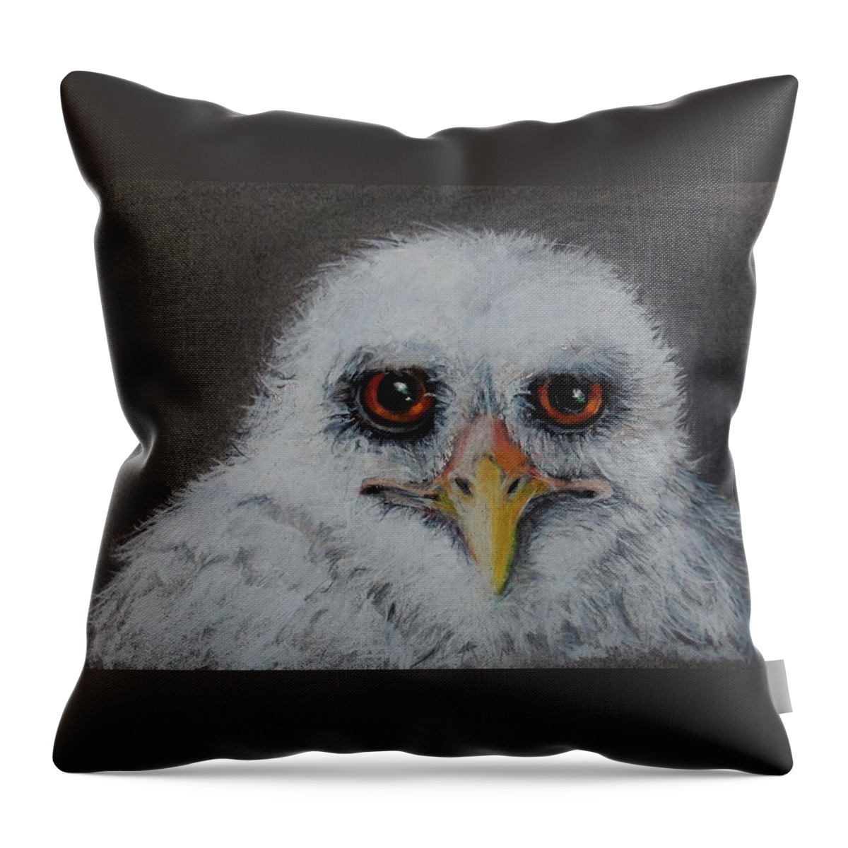Owl Throw Pillow featuring the drawing Who? by Jean Cormier