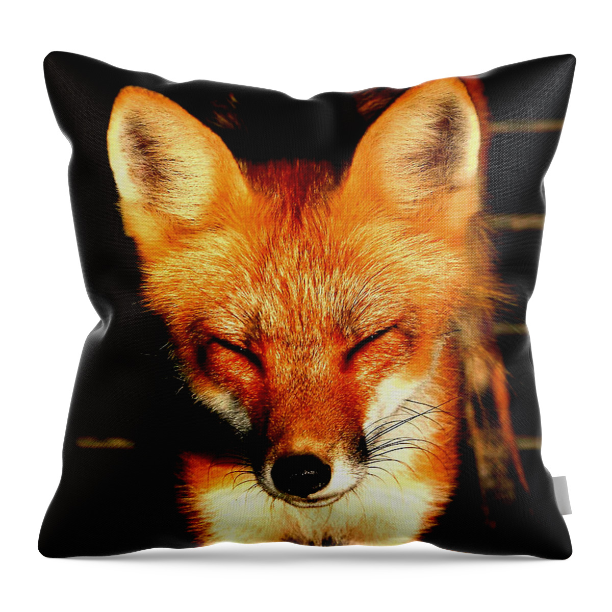Ontario Throw Pillow featuring the photograph Who Turned On The Sun by Larry Trupp