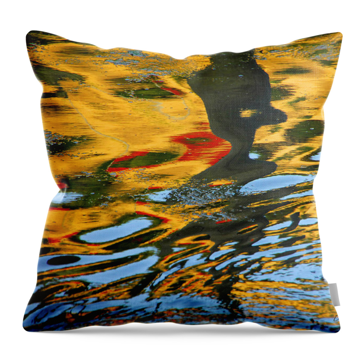 Water Throw Pillow featuring the photograph Wicked by Donna Blackhall