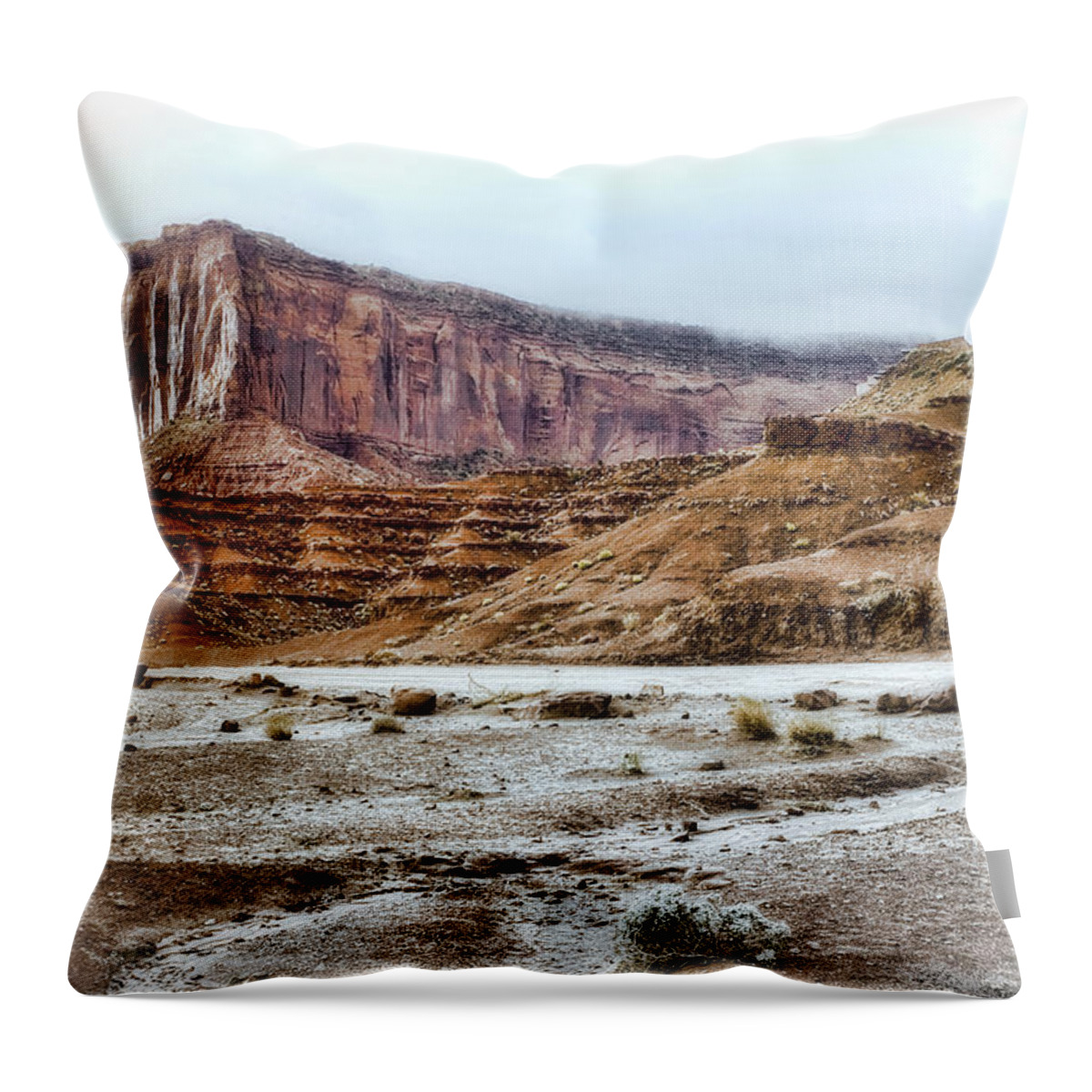 Nature Throw Pillow featuring the photograph Wide Open Country by Ellen Heaverlo