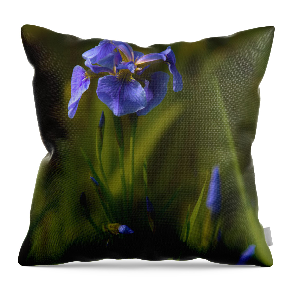 Alaska Throw Pillow featuring the photograph Wild Alaskan Iris by Penny Lisowski