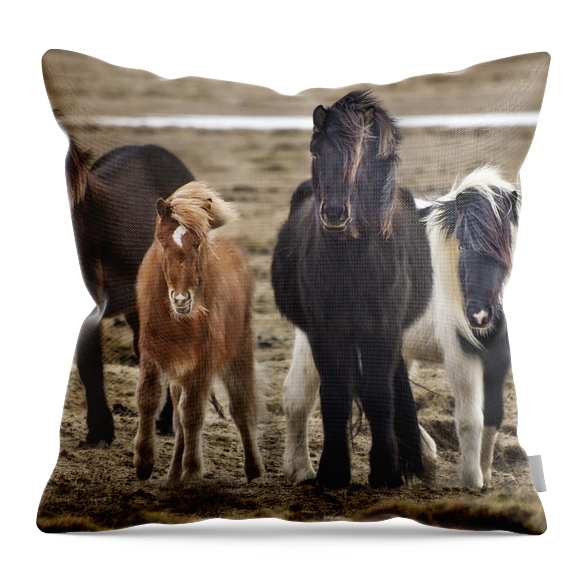 Iceland Throw Pillow featuring the photograph Wild And Free by Evelina Kremsdorf