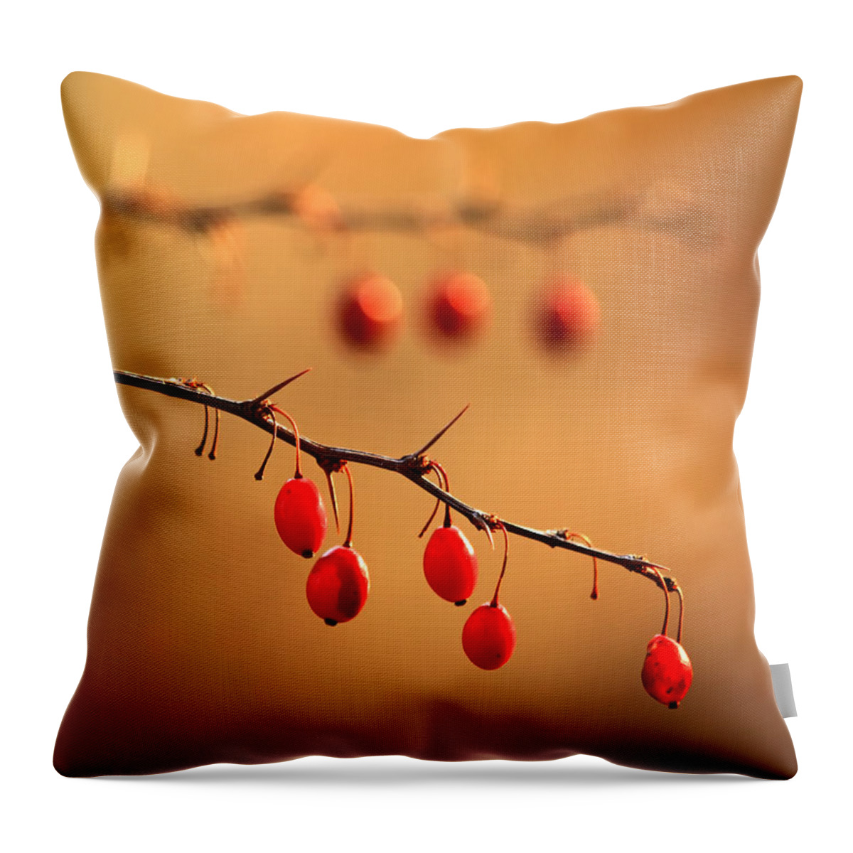 Wild Barberry Throw Pillow featuring the photograph Wild Barberry by Carolyn Derstine