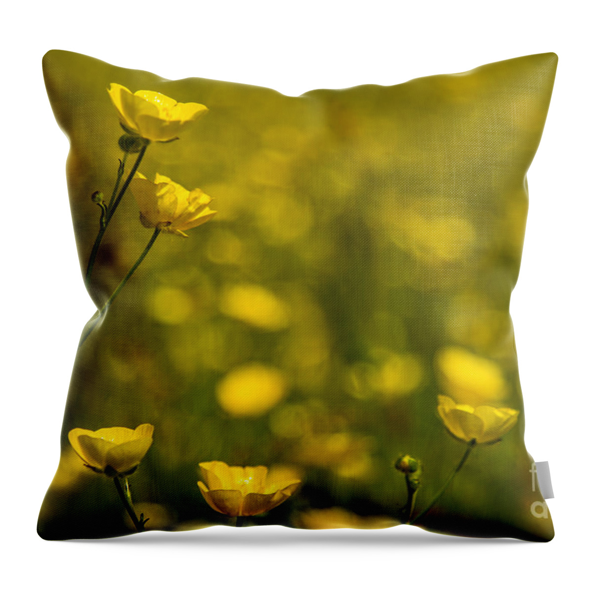 Buttercups Throw Pillow featuring the photograph Wild Buttercup Meadows by Sandra Cockayne ADPS