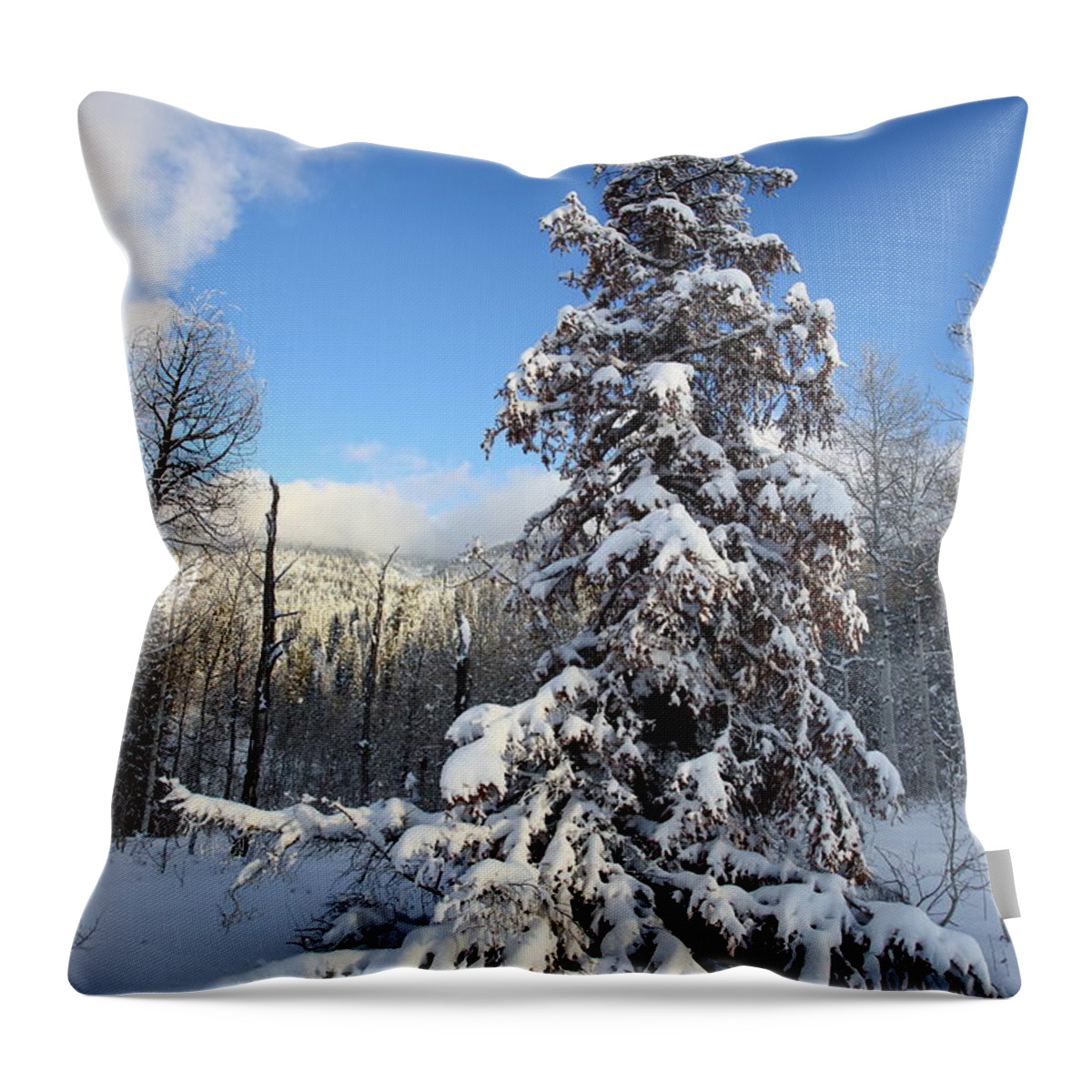 Cold Throw Pillow featuring the photograph Wild Christmas Tree by David Andersen