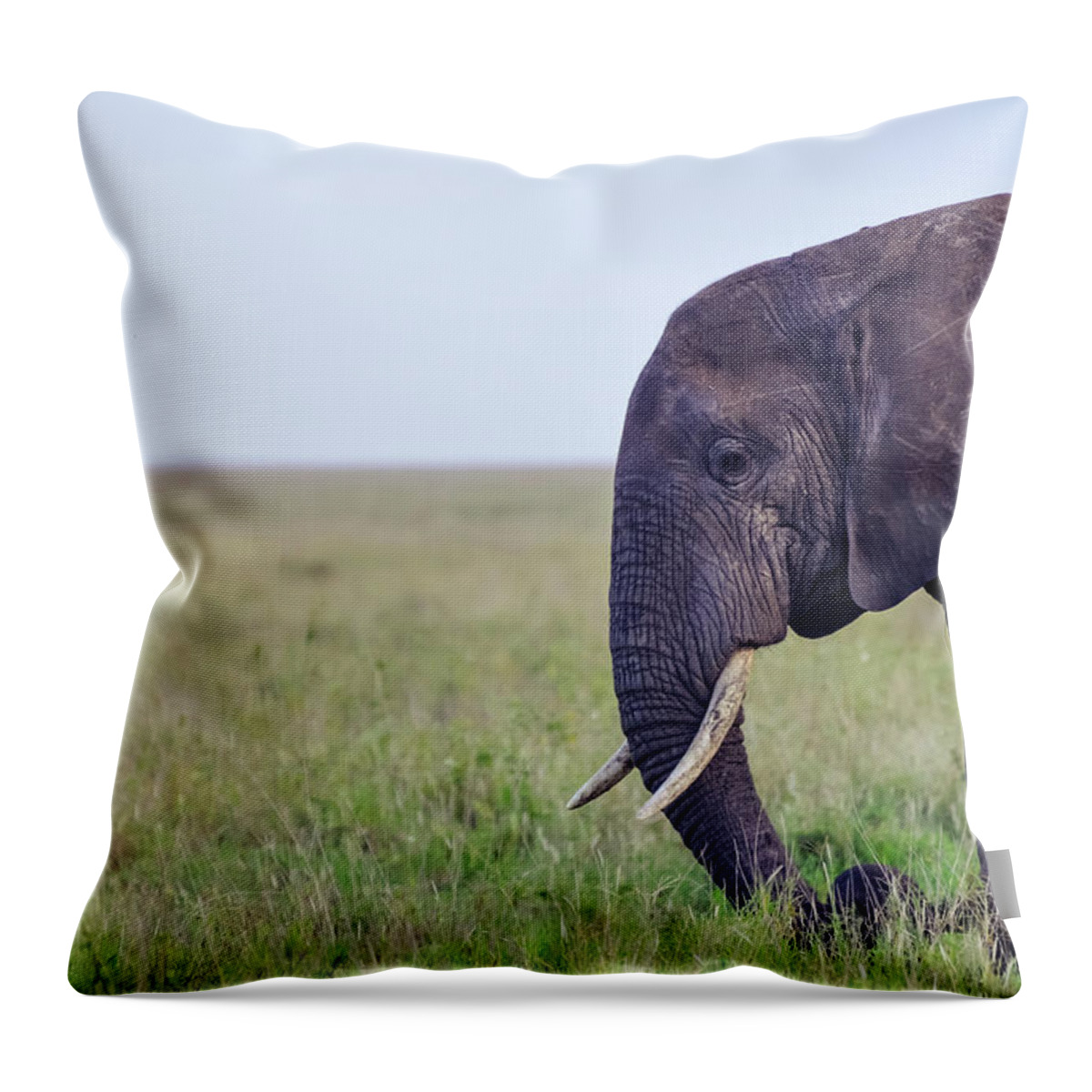 Grass Throw Pillow featuring the photograph Wild Elephant Face In Serengeti Plains by Volanthevist