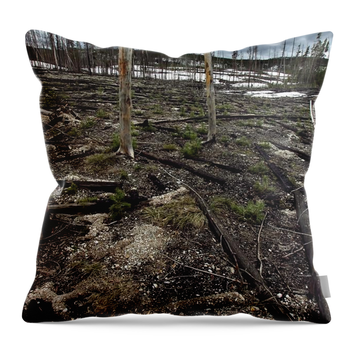 Yellowstone National Park Throw Pillow featuring the photograph Wild Fire Aftermath by Amanda Stadther