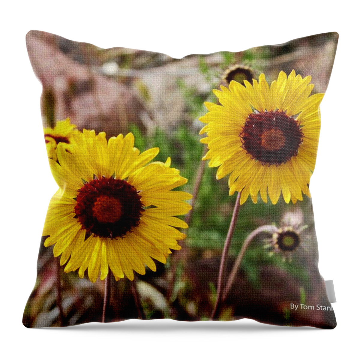 Wild Flowers Throw Pillow featuring the photograph Wild Flowers Above The Rim by Tom Janca