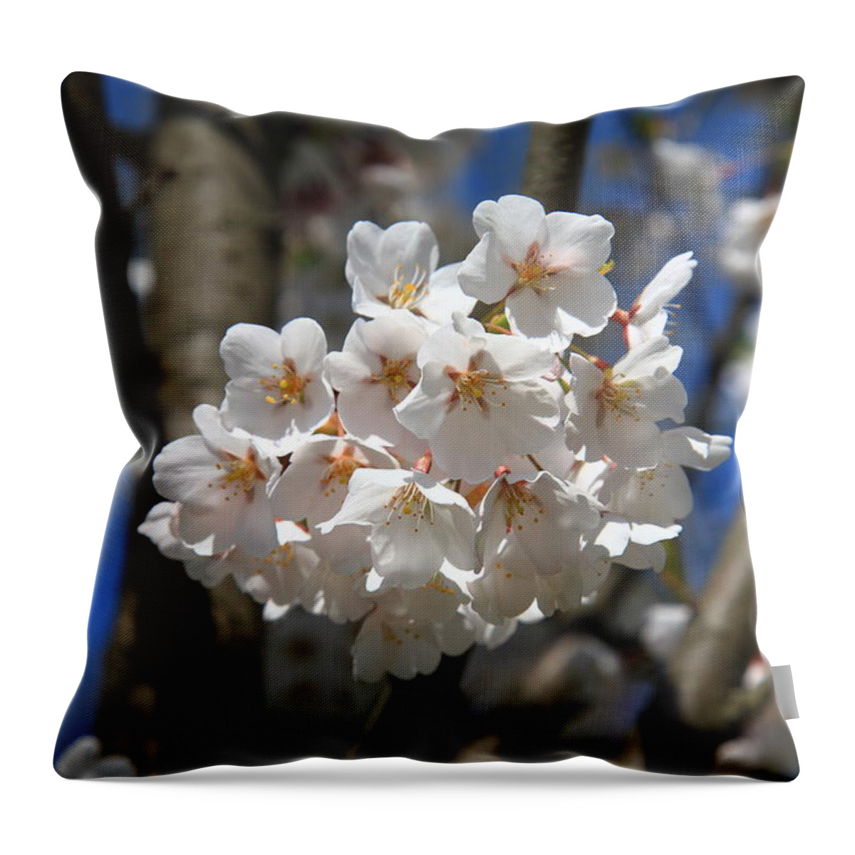 Art Throw Pillow featuring the photograph Wild Flowers by Frank Romeo