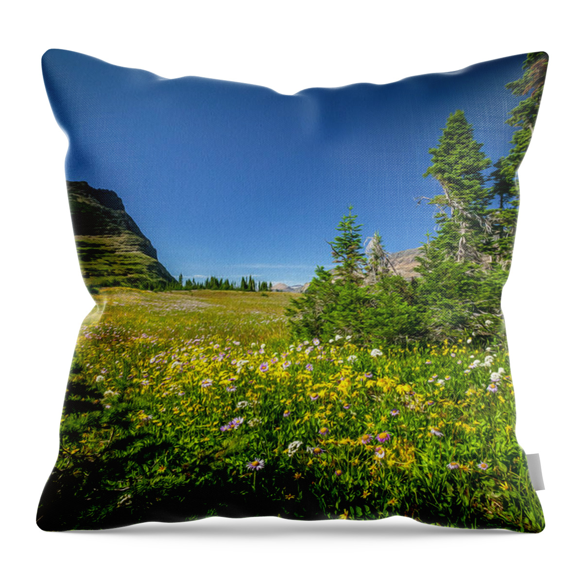 Glacier National Park Throw Pillow featuring the photograph Wild Flowers Glacier National PaintedPark  by Rich Franco