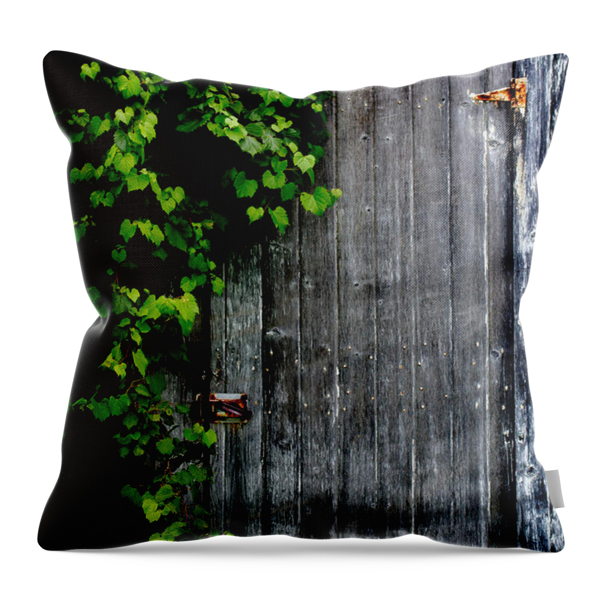 Barn Throw Pillow featuring the photograph Wild Grape Vine Door by Michael Arend
