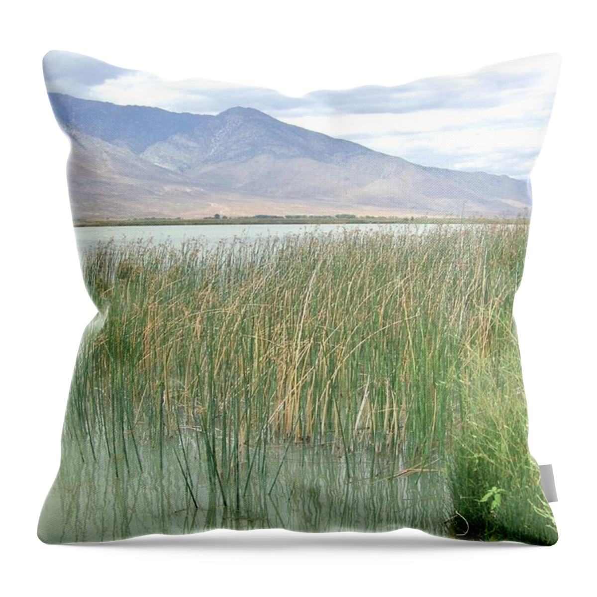 Sierra Throw Pillow featuring the photograph Wild Grass by Marilyn Diaz