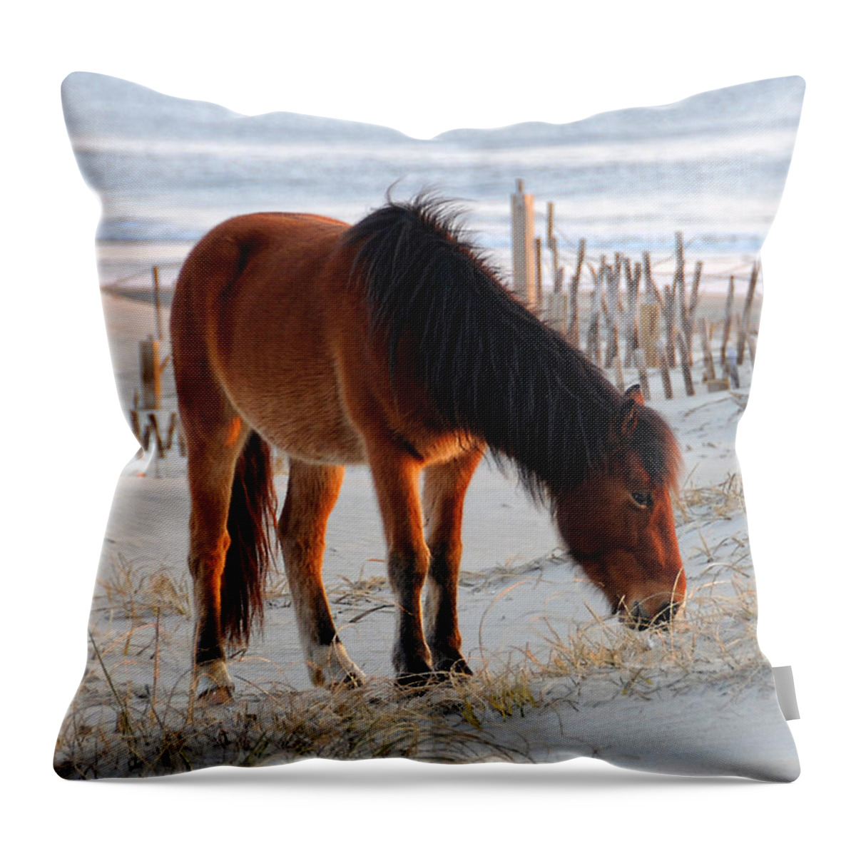 Horse Throw Pillow featuring the photograph Wild Horse At Sunrise by Liz Mackney