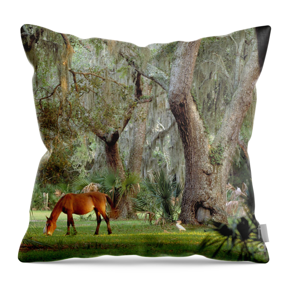 Landscape Throw Pillow featuring the photograph Wild Horse on Cumberland Island in Georgia by Art Wolfe