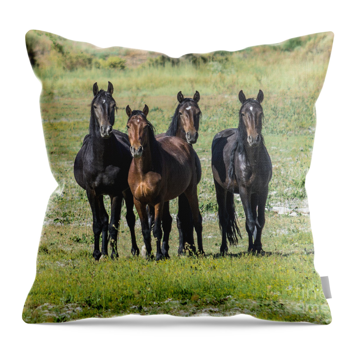 Wild Horses Throw Pillow featuring the photograph Wild Mustang Horses by L J Oakes