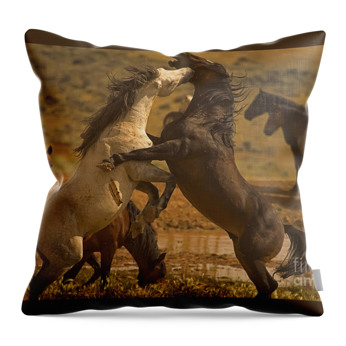 Equus Ferus Throw Pillow featuring the photograph Wild Mustang Stallions - Signed by J L Woody Wooden