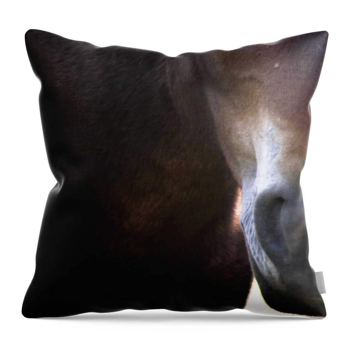 Andalusia Throw Pillow featuring the photograph Wild Mustangs of New Mexico 42 by Catherine Sobredo