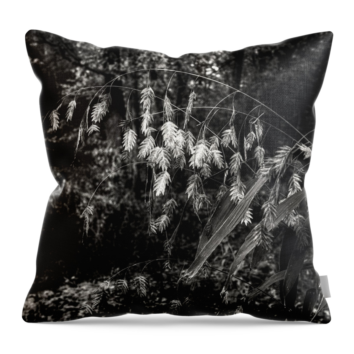Wild Oats Sown Throw Pillow featuring the digital art Wild Oats Sown by William Fields