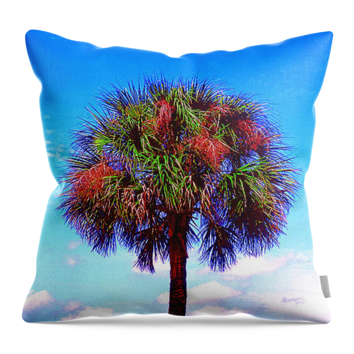 Wild Palms Throw Pillow featuring the photograph Wild Palm 1 by John Douglas