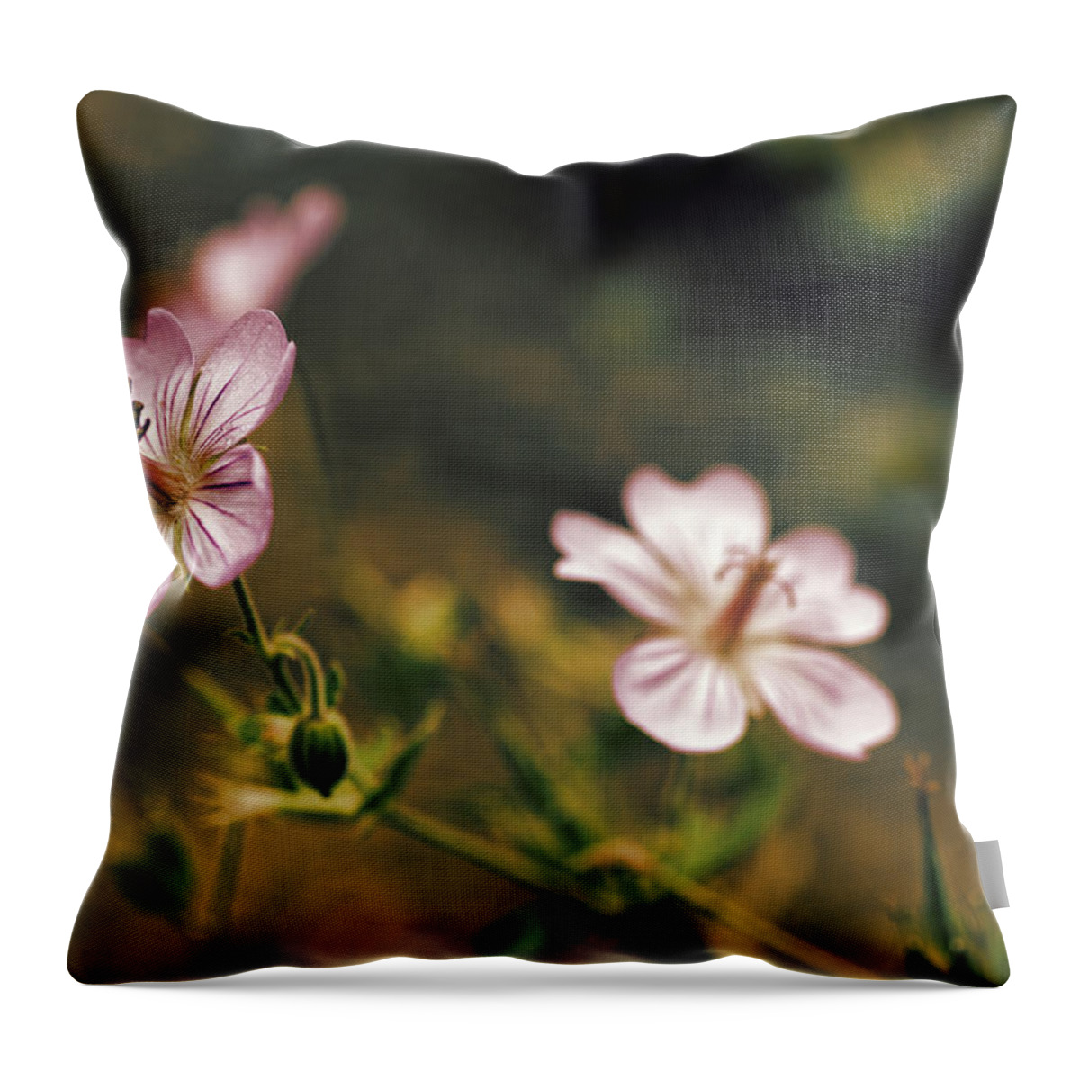 Wildflower Throw Pillow featuring the photograph Wild Pink by Jerry Nettik