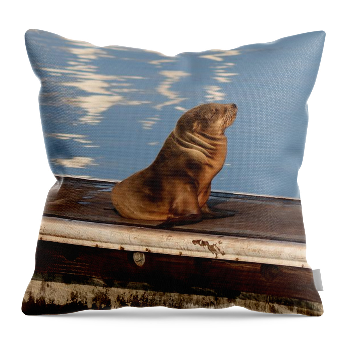 Wild Throw Pillow featuring the photograph Wild Pup Sun Bathing by Christy Pooschke