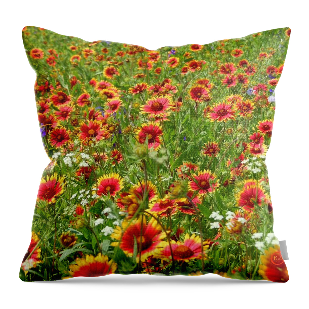 Wild Flower Throw Pillow featuring the photograph Wild Red Daisies #3 by Robert ONeil