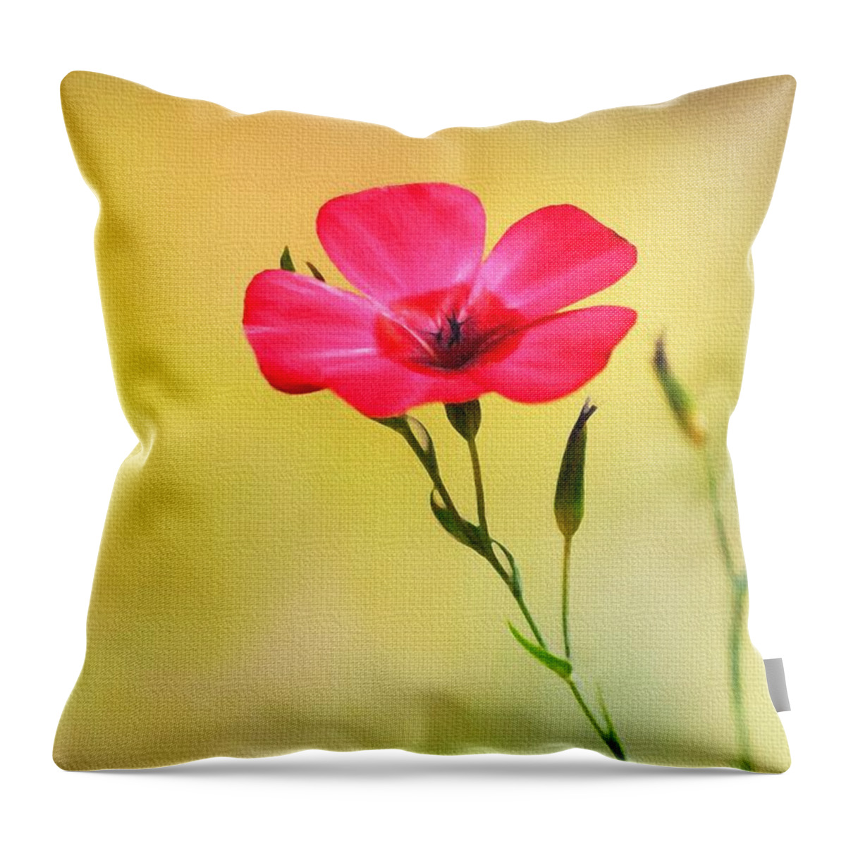 Wild Red Flower Throw Pillow featuring the photograph Wild Red Flower by Tom Janca