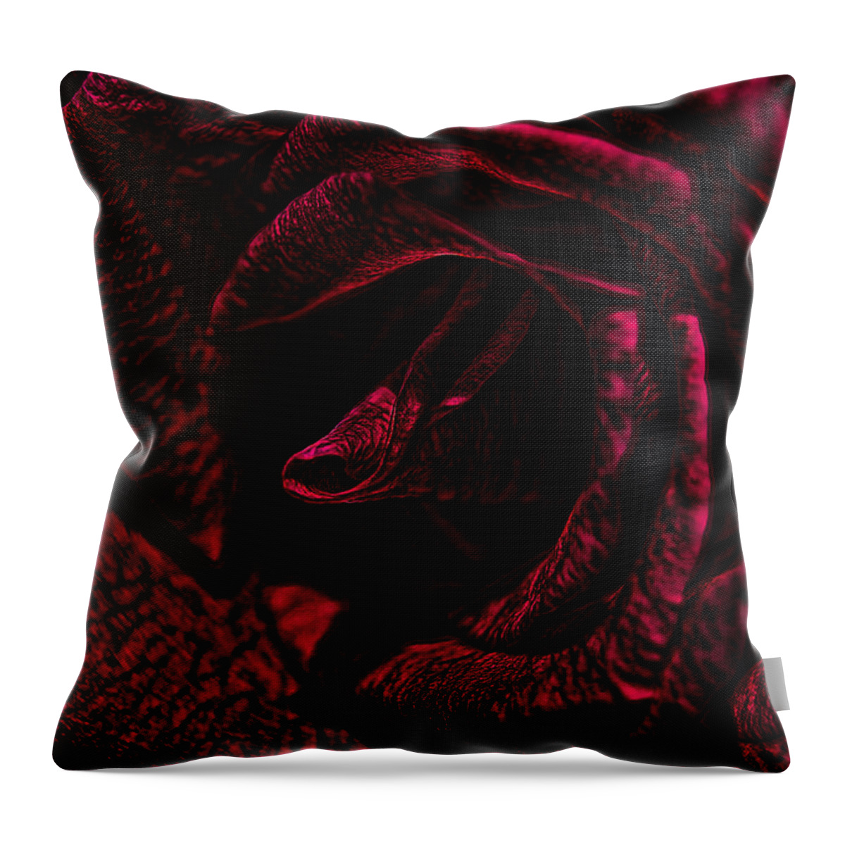 Digital Art Throw Pillow featuring the photograph Wild Rose by Kathy Churchman