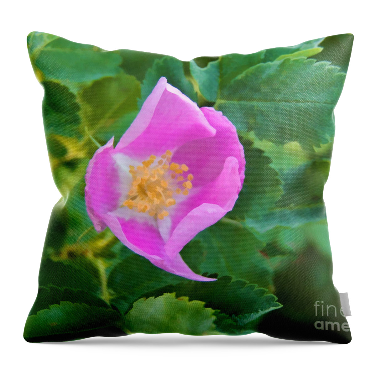 Rose Throw Pillow featuring the digital art Wild Rose by L J Oakes