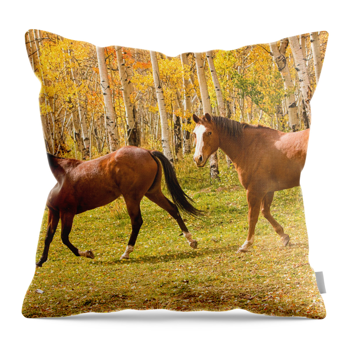 Horses Throw Pillow featuring the photograph Wild Trotting Autumn Horses by James BO Insogna