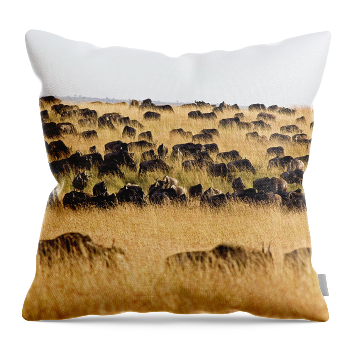 Following Throw Pillow featuring the photograph Wildebeest Migration by Wldavies