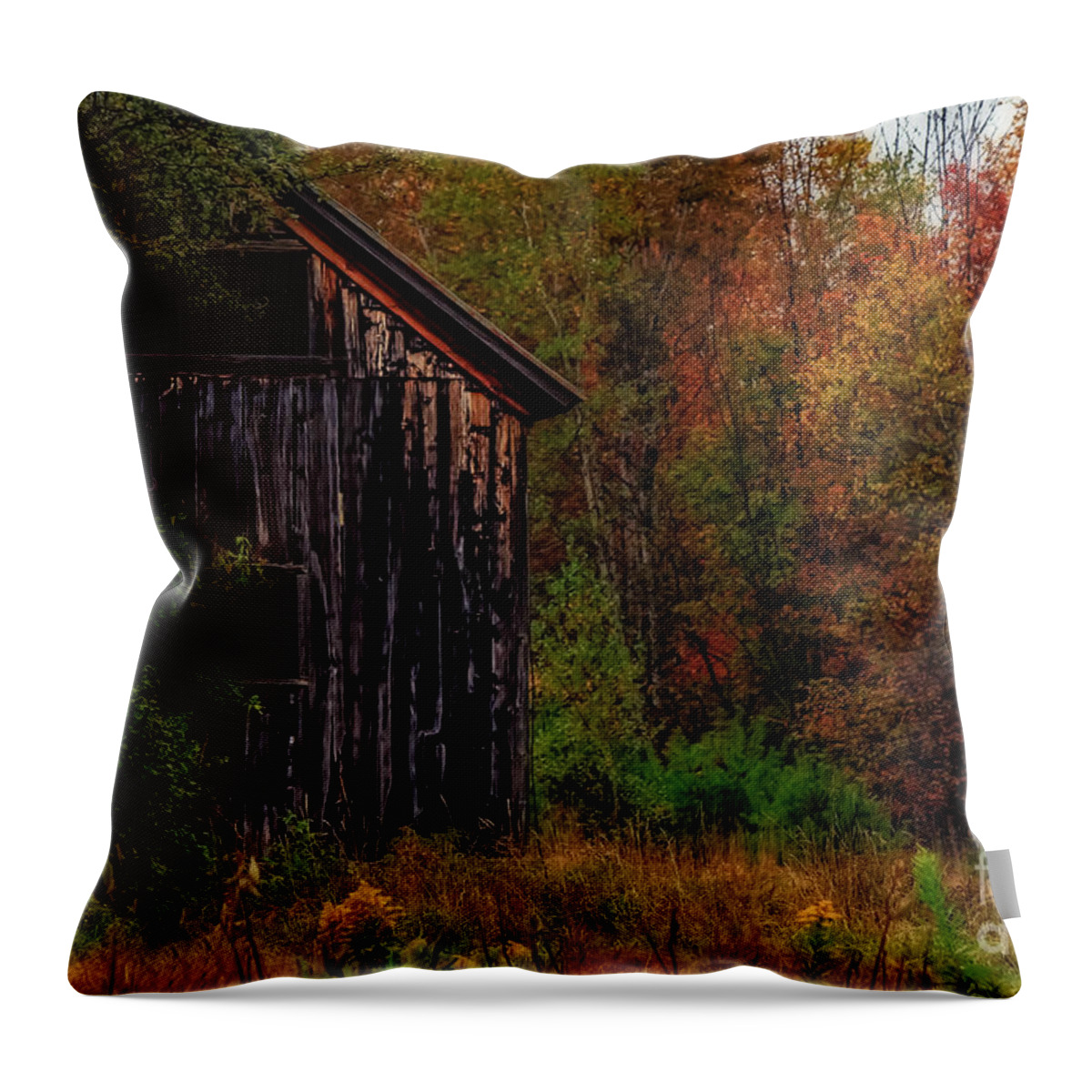 Barns Throw Pillow featuring the photograph Wilderness Barn by Brenda Giasson
