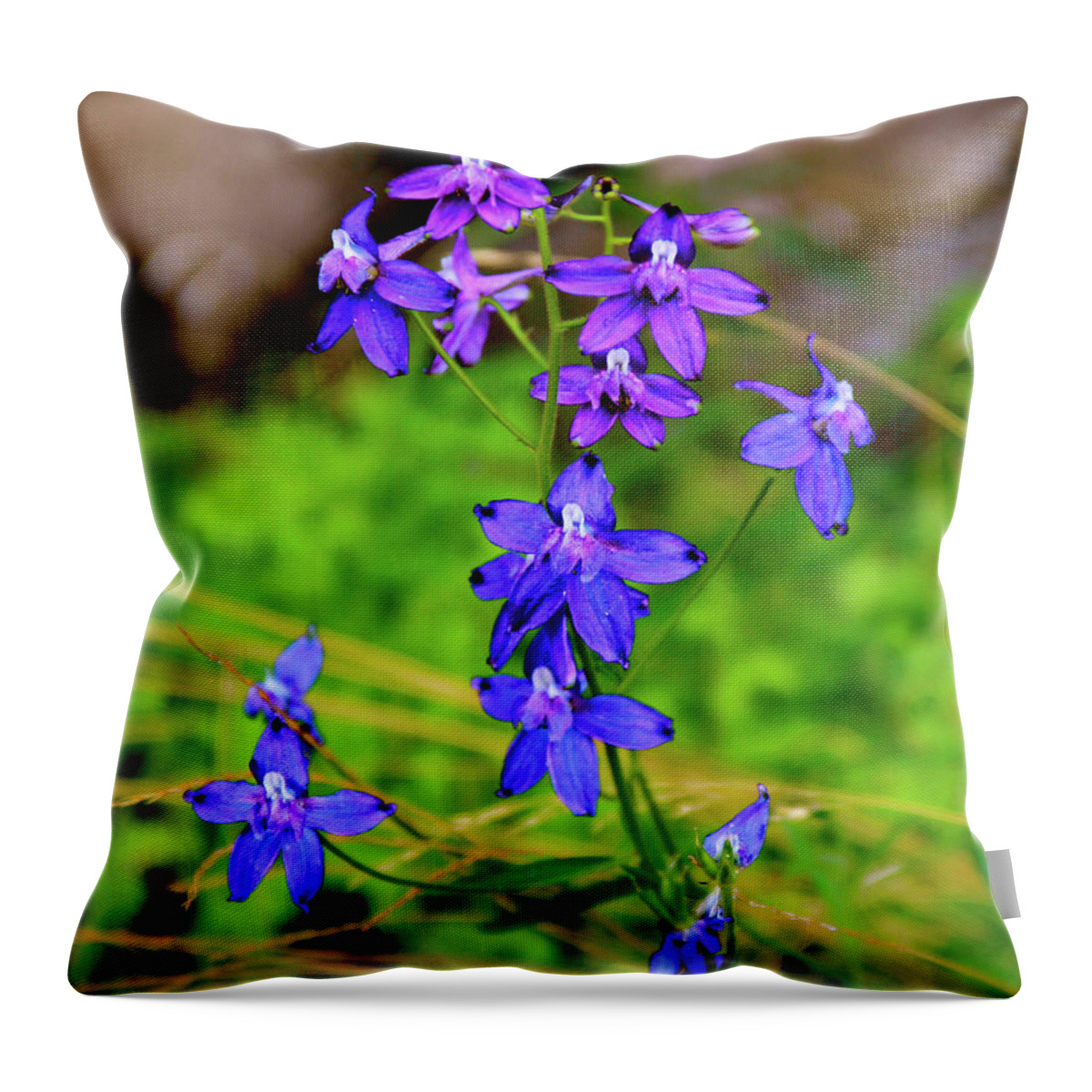 Larkspur Wildflowers Throw Pillow featuring the photograph Wildflower Larkspur by Ed Riche