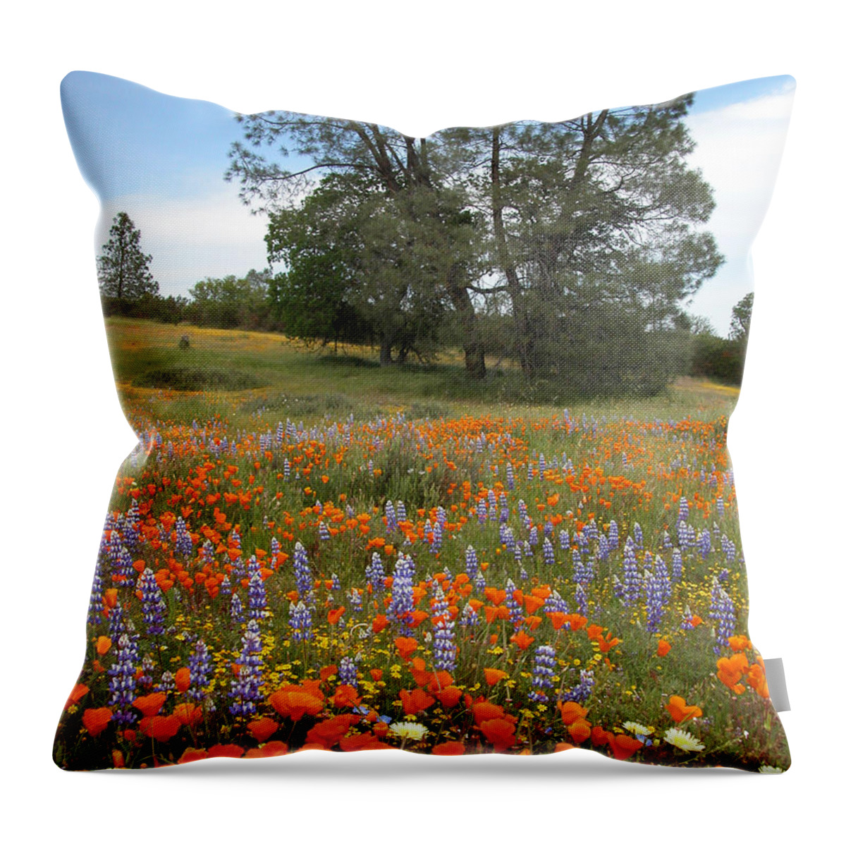 Wildflowers Throw Pillow featuring the photograph Wildflower Wonderland 3 by Lynn Bauer
