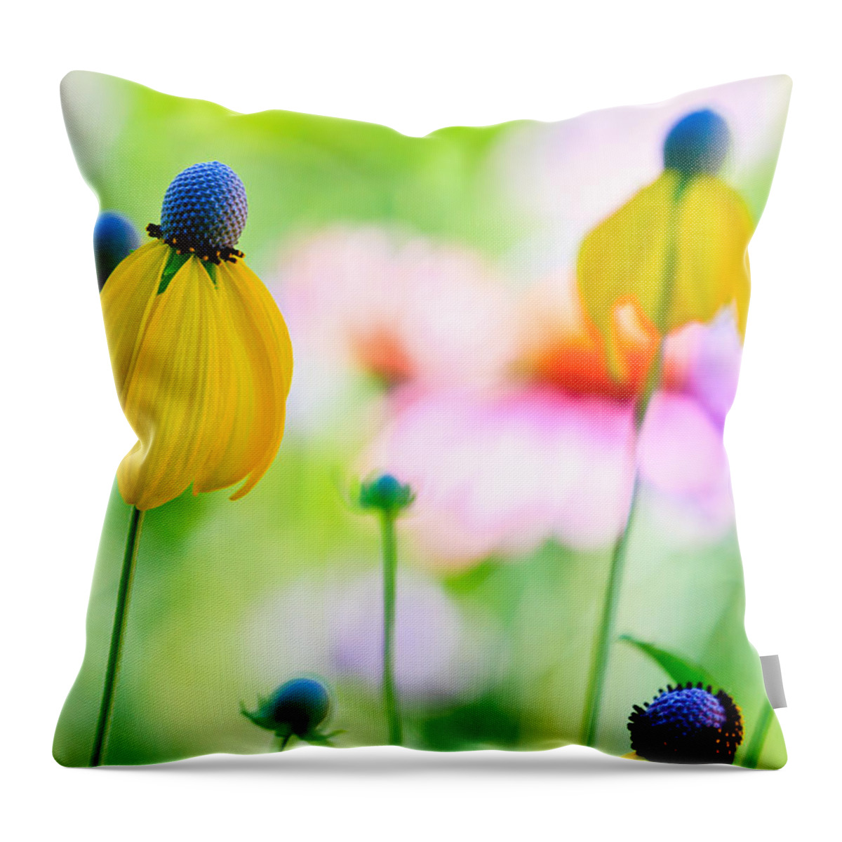 Flowers Throw Pillow featuring the photograph Wildflowers by Ben Graham