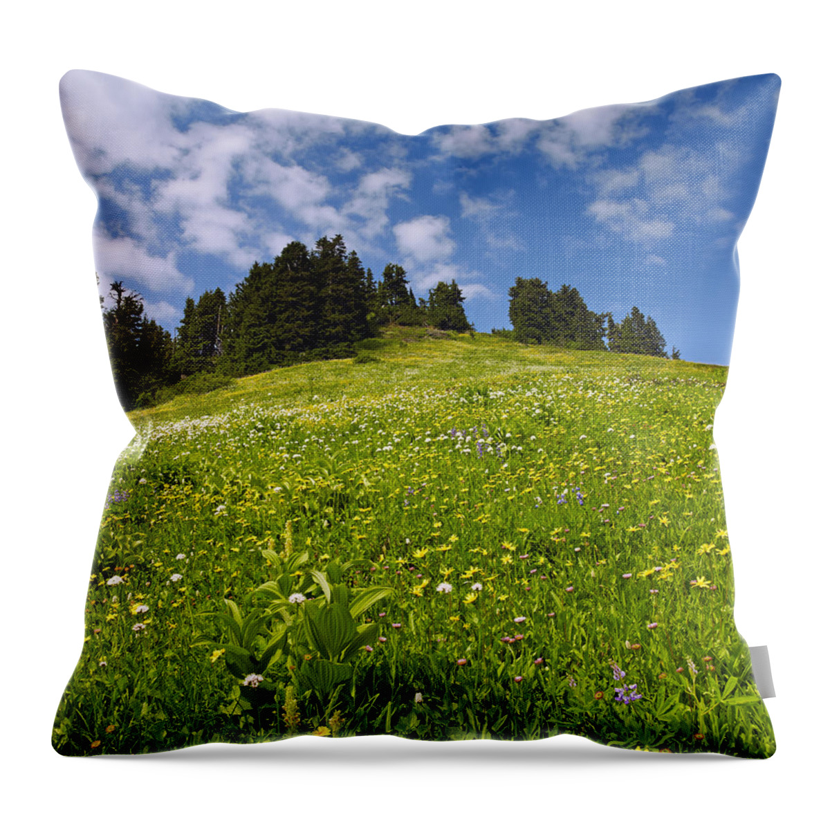 Flowers Throw Pillow featuring the photograph Wildflowers in North Cascades - Washington by Brendan Reals