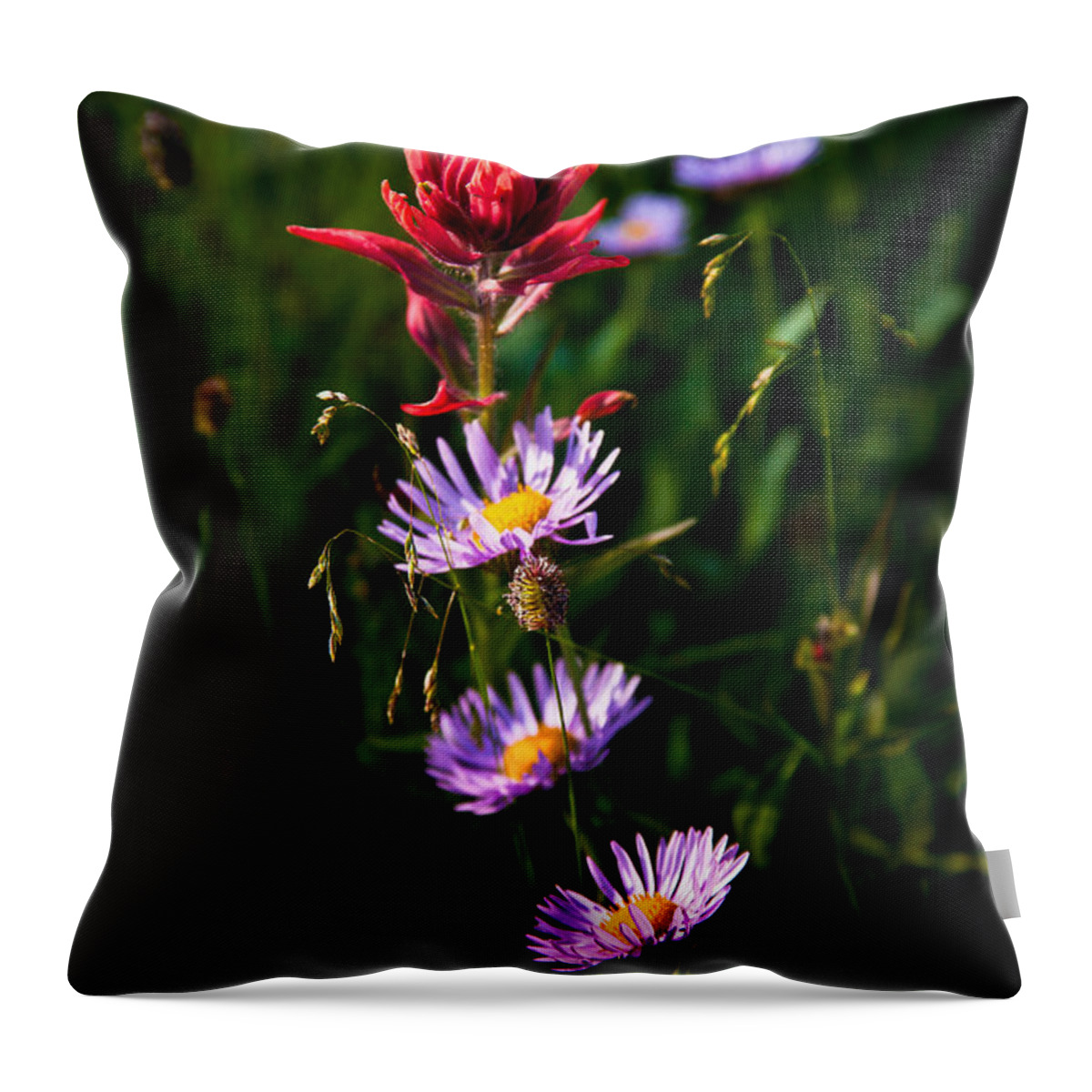 Landscape Throw Pillow featuring the photograph Wildflowers by Steven Reed