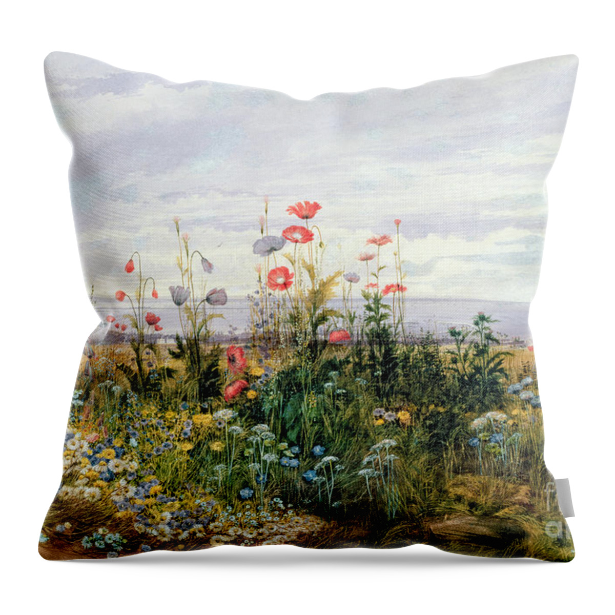 Meadow; Flowers; Irish; Wild; Landscape; Poppies Throw Pillow featuring the painting Wildflowers with a View of Dublin Dunleary by A Nicholl