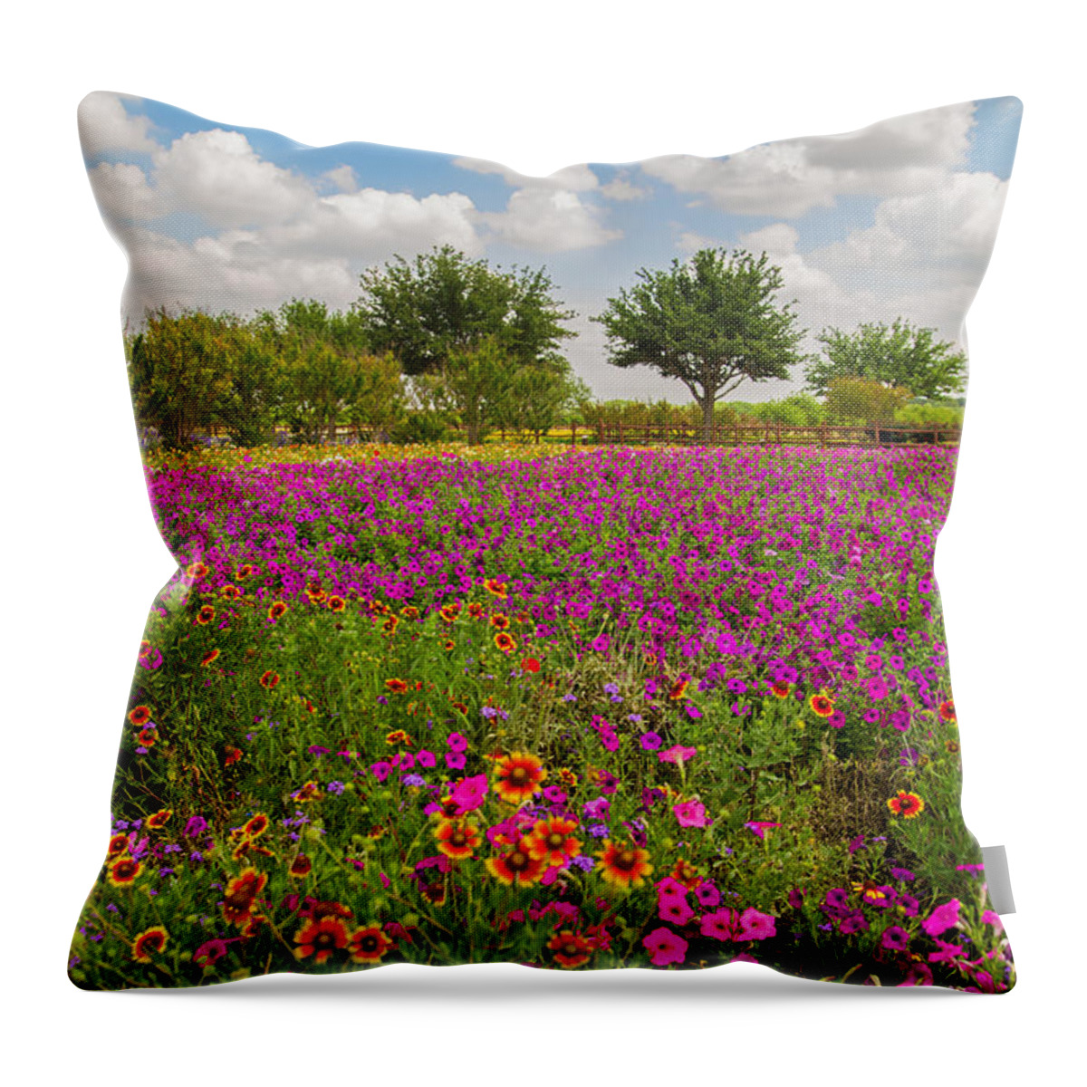 Flower Throw Pillow featuring the photograph Wildseed Garden by Lynn Bauer