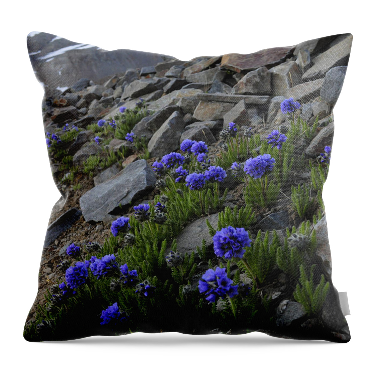 Blue Flowers Throw Pillow featuring the photograph Wilson Peak Wildflowers by Aaron Spong
