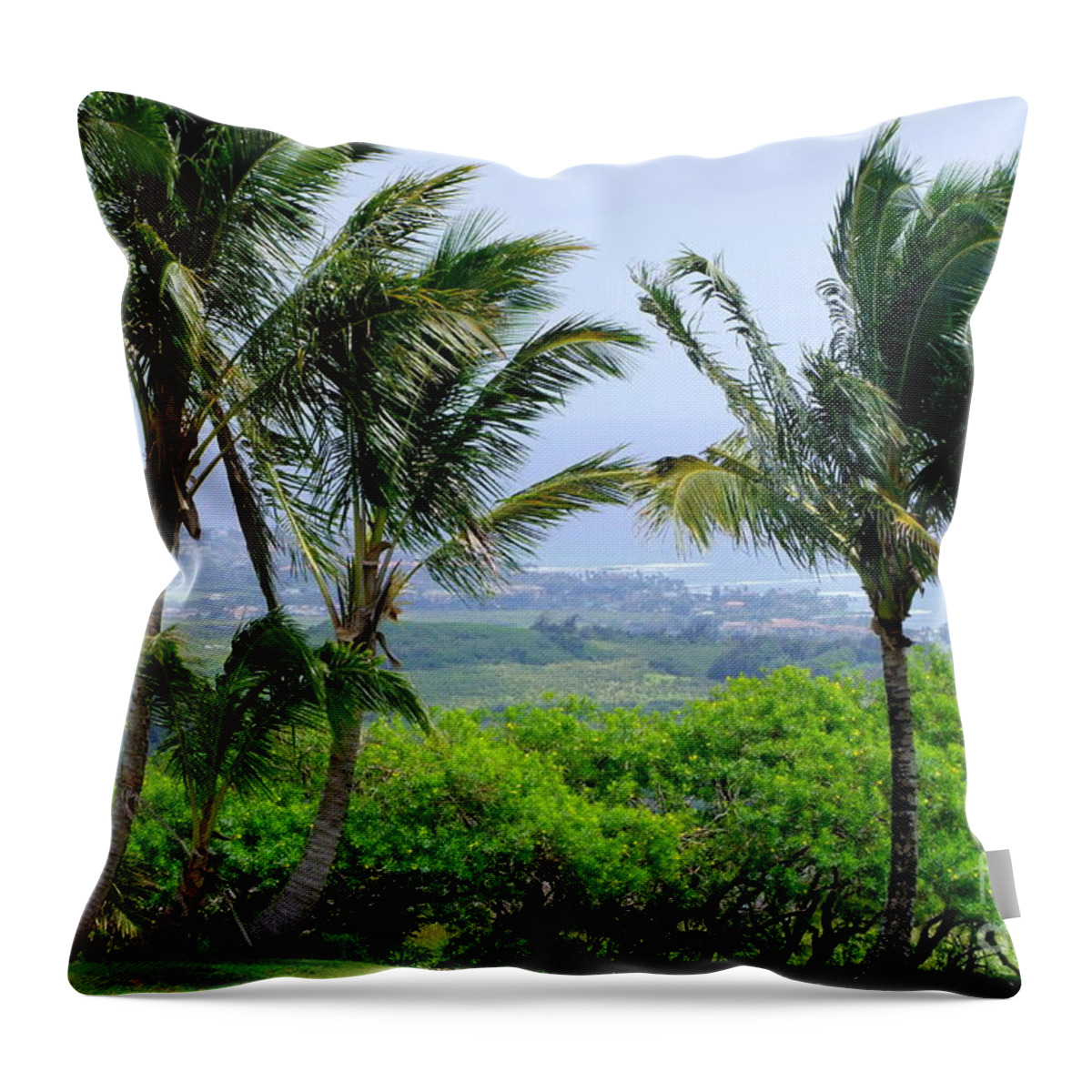 Wind Throw Pillow featuring the photograph Wind Over Kalaheo by Mary Deal