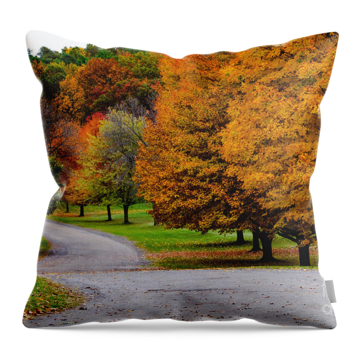 Mendon Ponds Throw Pillow featuring the photograph Winding Road by William Norton