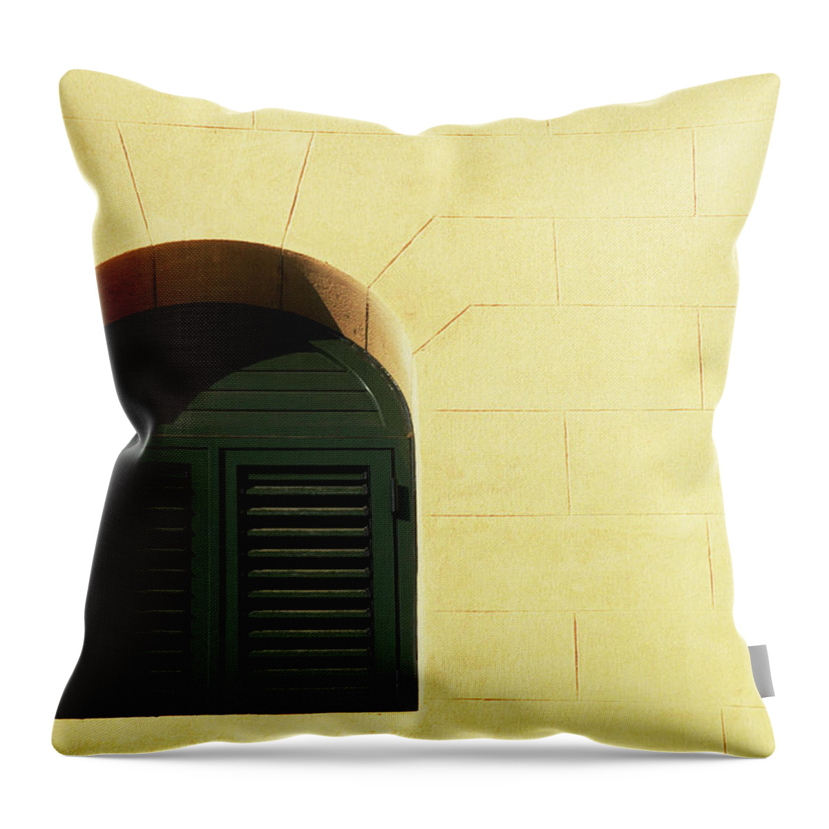 Empty Throw Pillow featuring the photograph Window Closed by Joelle Icard