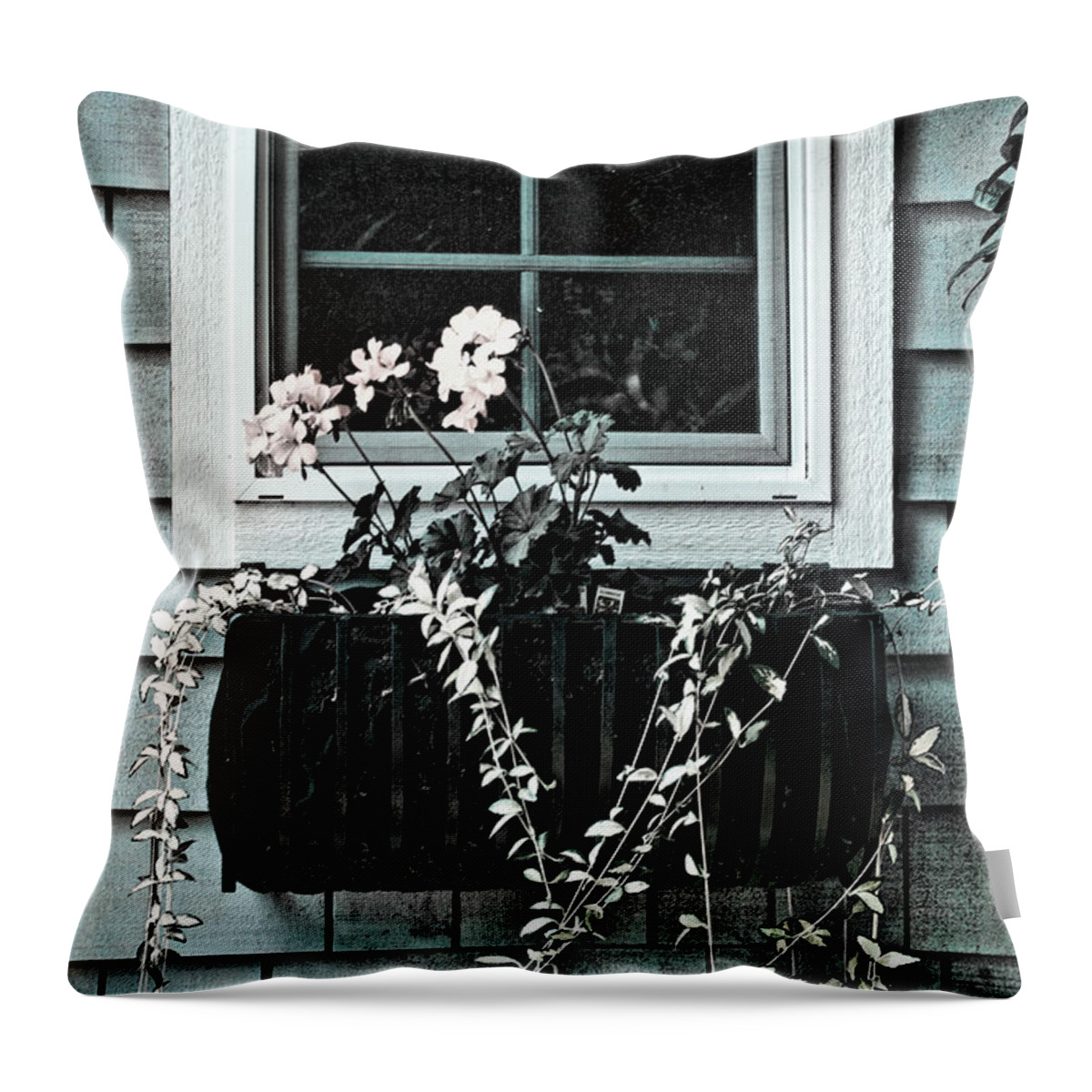 Flower Basket Throw Pillow featuring the photograph Window Dresser by Bonnie Bruno
