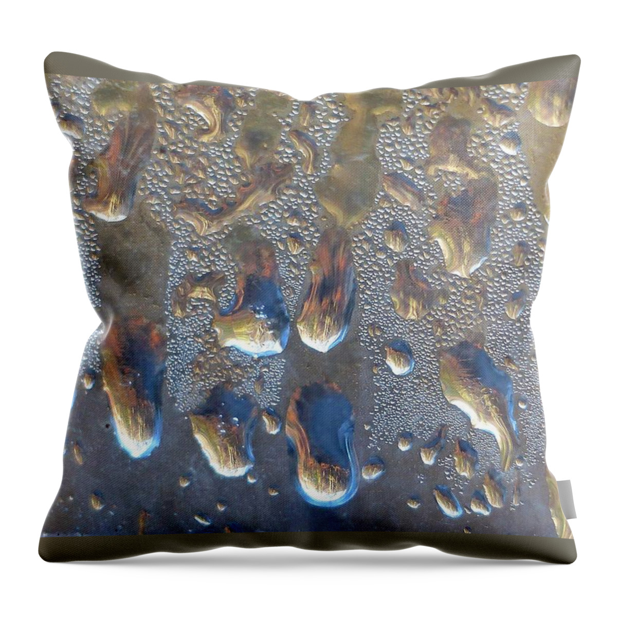 Abstract Throw Pillow featuring the photograph Window World by Charles Ford