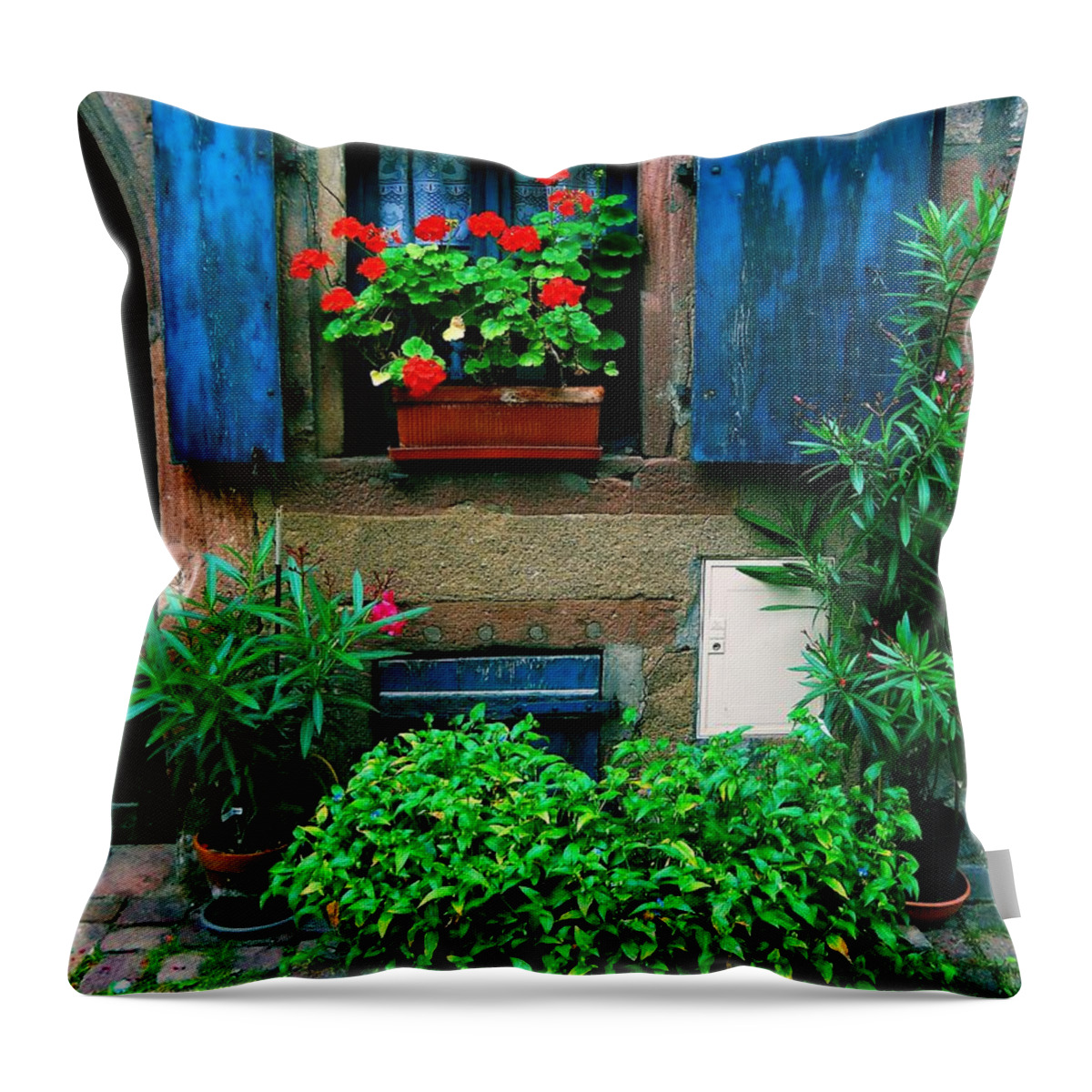 Windows Throw Pillow featuring the photograph Windows and Doors 2 by Maria Huntley