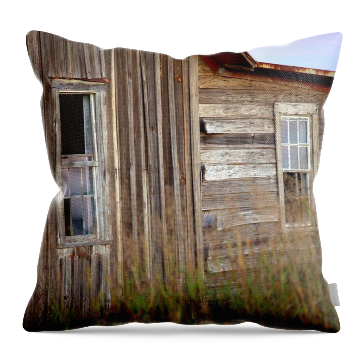 2650 Throw Pillow featuring the photograph Windows on the World by Gordon Elwell